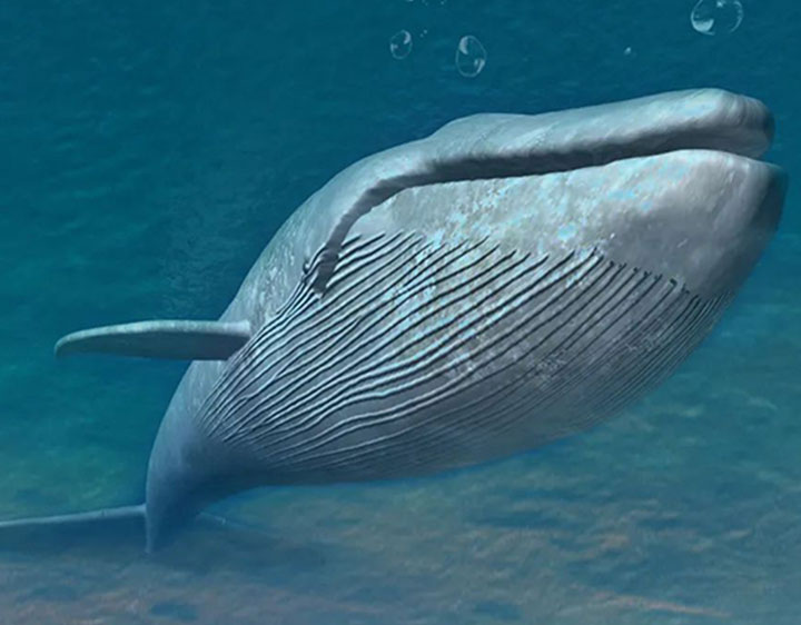 氢能手艺_NEXO_海的声音